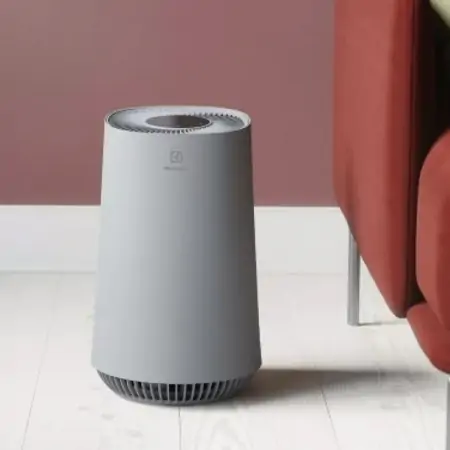 Máy lọc không khí Electrolux FA31-202GY 3