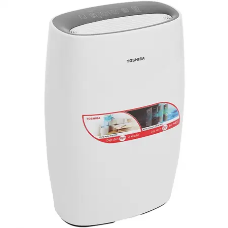 Máy lọc không khí Toshiba CAF-N30(W)VN 1