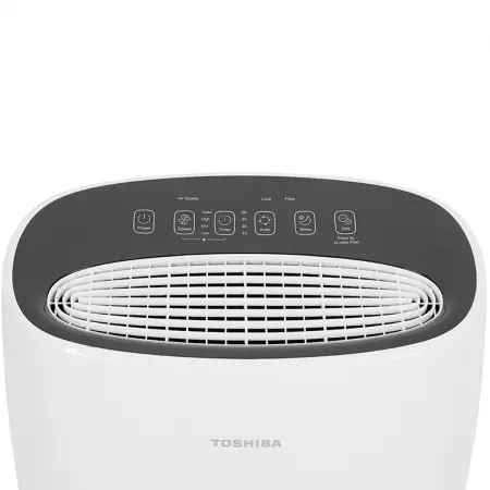 Máy lọc không khí Toshiba CAF-N30(W)VN 2