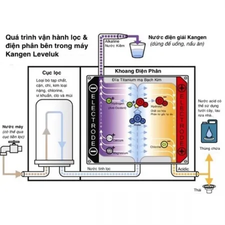 Máy lọc nước điện giải ion kiềm Kangen LeveLuk SD501 6