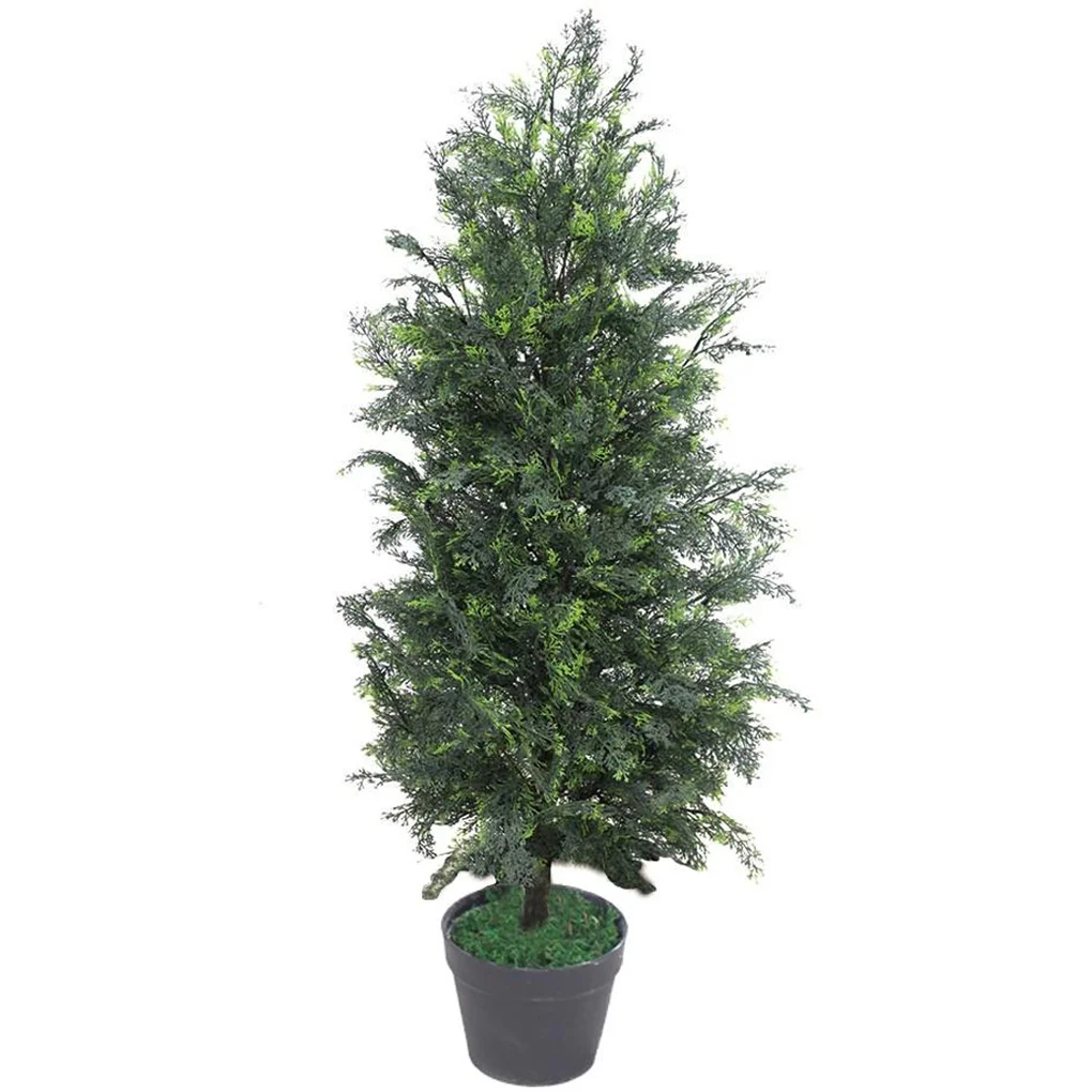 Chậu Cây Bách JWT2953