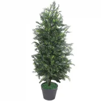 Chậu Cây Bách JWT2953