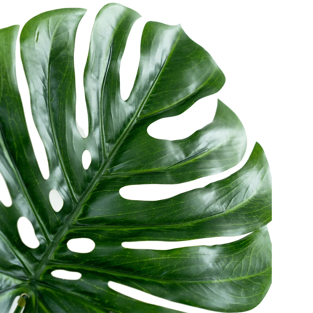 Nhánh Lá Trầu Bà A232SF 0