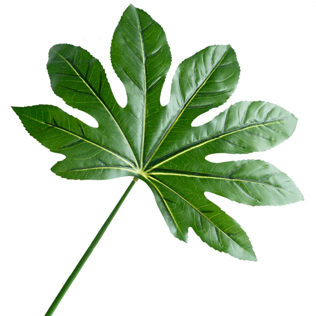 Nhánh Lá Bát Thủ A274SB