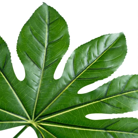 Nhánh Lá Bát Thủ A274SB 0