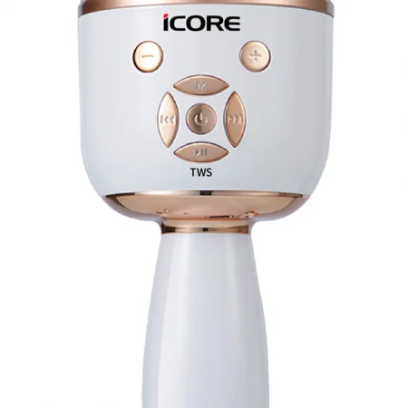 Micro Không Dây Icore Kèm Loa iCore MK99 1