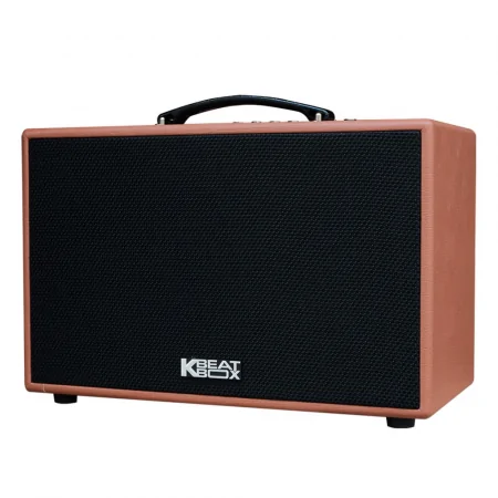 Loa Karaoke Mini Xách Tay ACNOS CS200PU (Nâu) 0