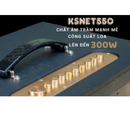 Dàn Âm Thanh Di Động ACNOS KSNET550 2