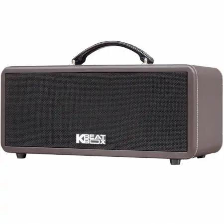 Dàn Âm Thanh Di Động ACNOS KS362S 2