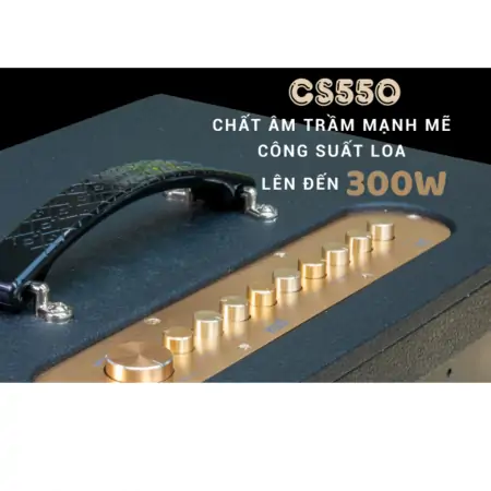 Dàn Âm Thanh Di Động ACNOS CS550 2