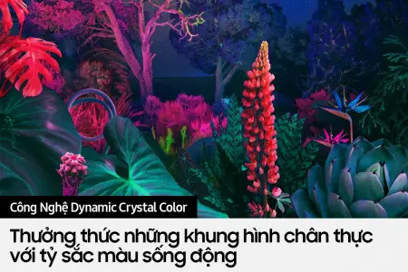 Smart Tivi Samsung 4K 70 Inch UA70BU8000 0