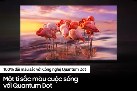 Smart Tivi Samsung QLED 4K 85 Inch QA85Q60B 9