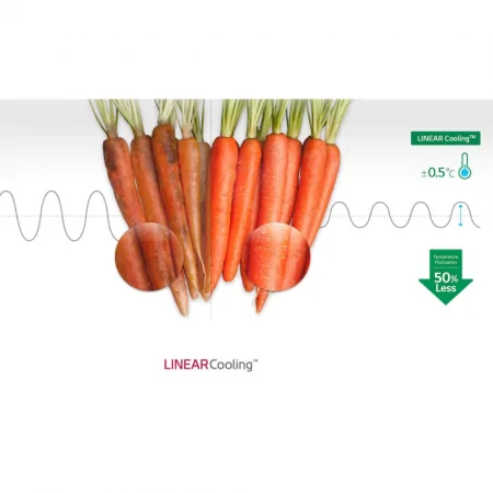 Tủ Lạnh LG Inverter 315 Lít GN-M312BL 13