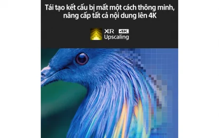 Google Tivi OLED Sony 4K 48 Inch XR-48A90K 0