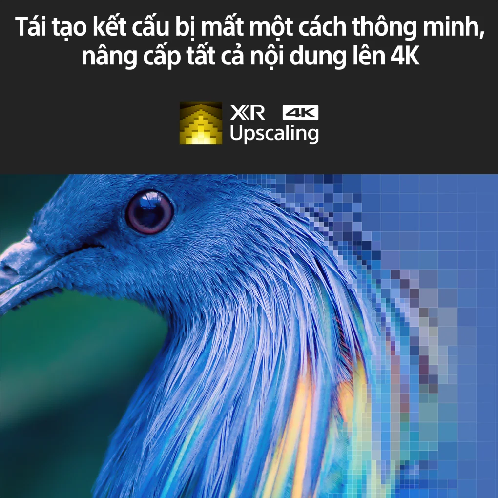 Google Tivi Mini LED Sony 4K XR-65X95K 0