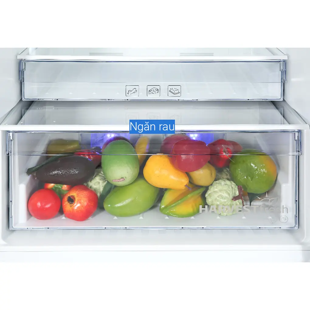 Tủ Lạnh Beko Inverter 422 Lít RDNT470I50VK 6