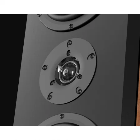 Loa Đứng PARAMAX D88 Limited (Walnut) 0