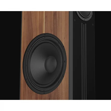 Loa Đứng PARAMAX D88 Limited (Walnut) 3