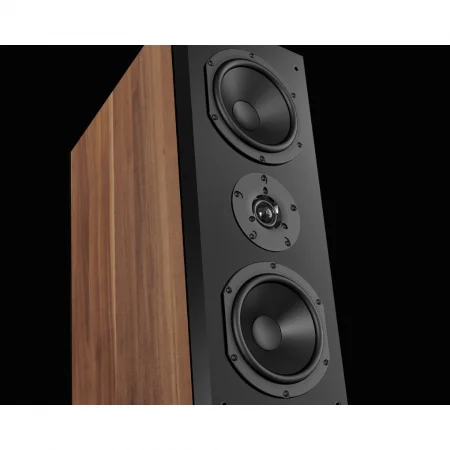 Loa Đứng PARAMAX D88 Limited (Walnut) 4