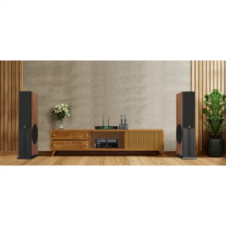 Loa Đứng PARAMAX D88 Limited (Walnut) 6