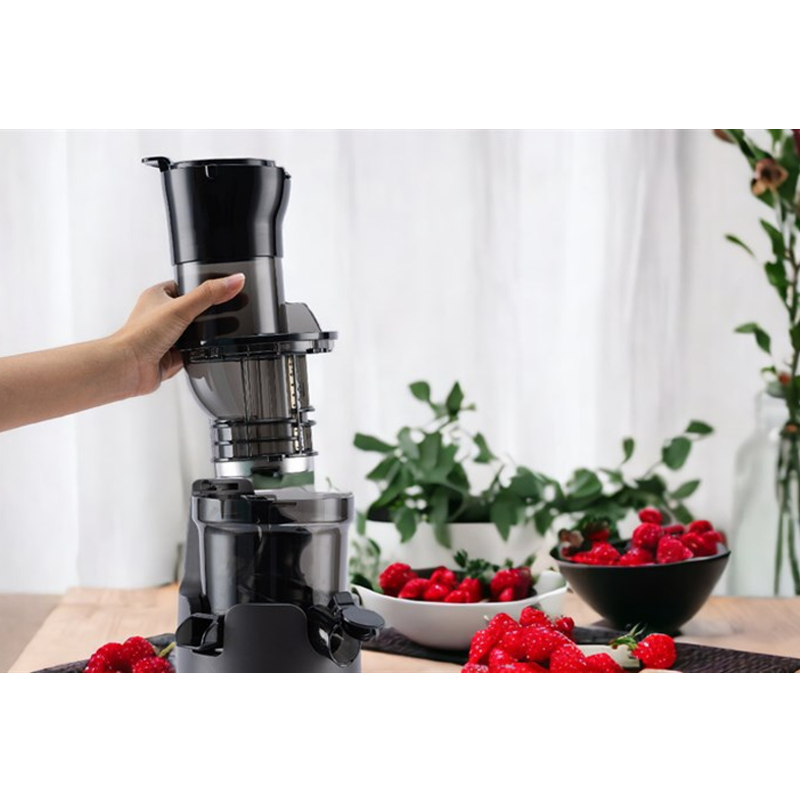 Máy Ép Chậm HAWONKOO SJH-002-GR 7