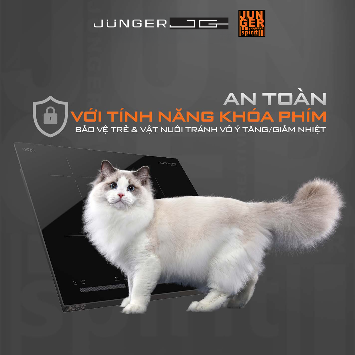 Bếp Điện Từ Ba Junger CEJ-300-IIF - Thái Lan 8