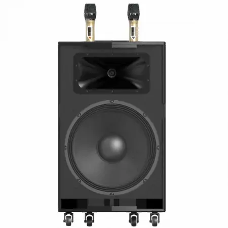 Loa Kéo Paramax Dansing HK-396 0