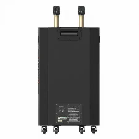 Loa Kéo Paramax Dansing HK-396 4