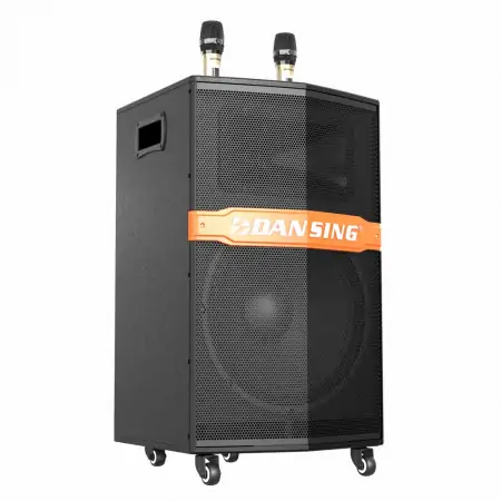 Loa Kéo Paramax Dansing HK-396 6