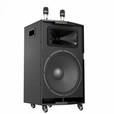 Loa Kéo Paramax Dansing HK-396 7