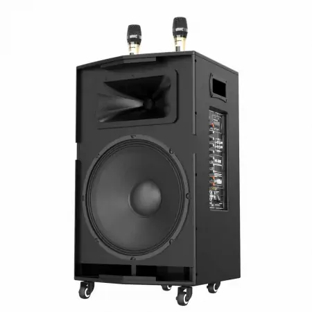 Loa Kéo Paramax Dansing HK-396 8