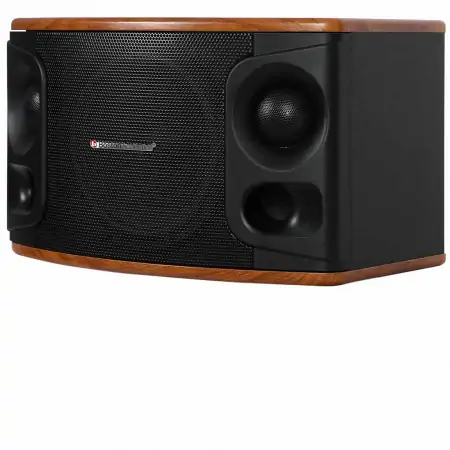 Loa Boston Acoustics MD510 1