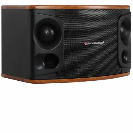 Loa Boston Acoustics MD510 2