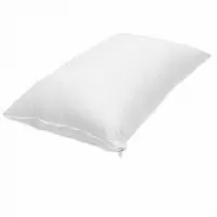 Ruột Gối Ép Hơi 50x70 CM