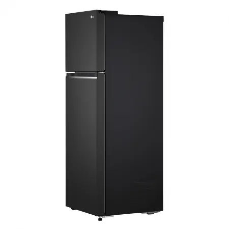 Tủ Lạnh LG Inverter 266 Lít GV-B262BL 1