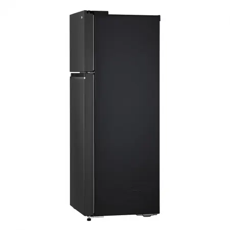 Tủ Lạnh LG Inverter 266 Lít GV-B262BL 2