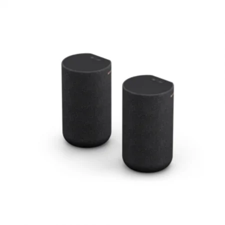 Loa Sau Không Dây Sony Tùy Chọn SA-RS5//C SP1 3