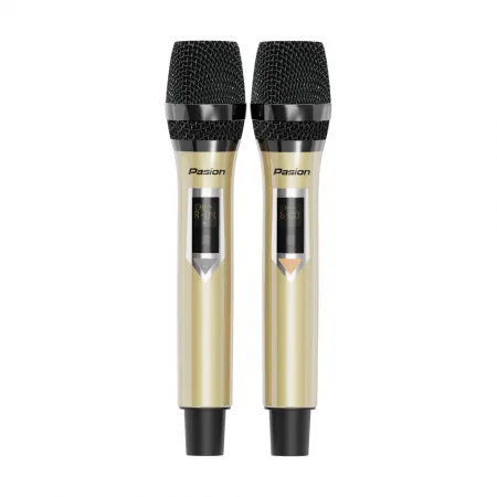 Loa Di Động Xách Tay Paramax PASION 2 5