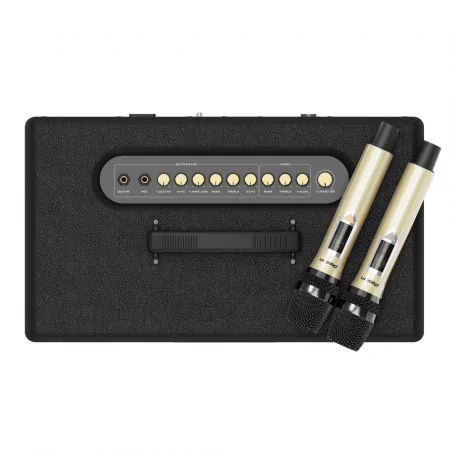 Loa Di Động Xách Tay Paramax PASION 2 3