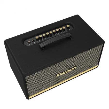 Loa Di Động Xách Tay Paramax PASION 2 2