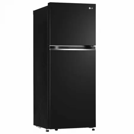 Tủ Lạnh LG Inverter 217 Lít GV-B212WB 0