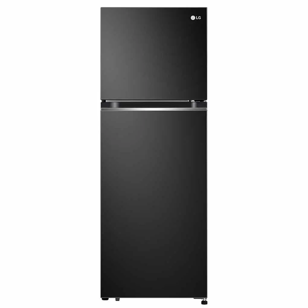 Tủ Lạnh LG Inverter 243 Lít GV-B242BL