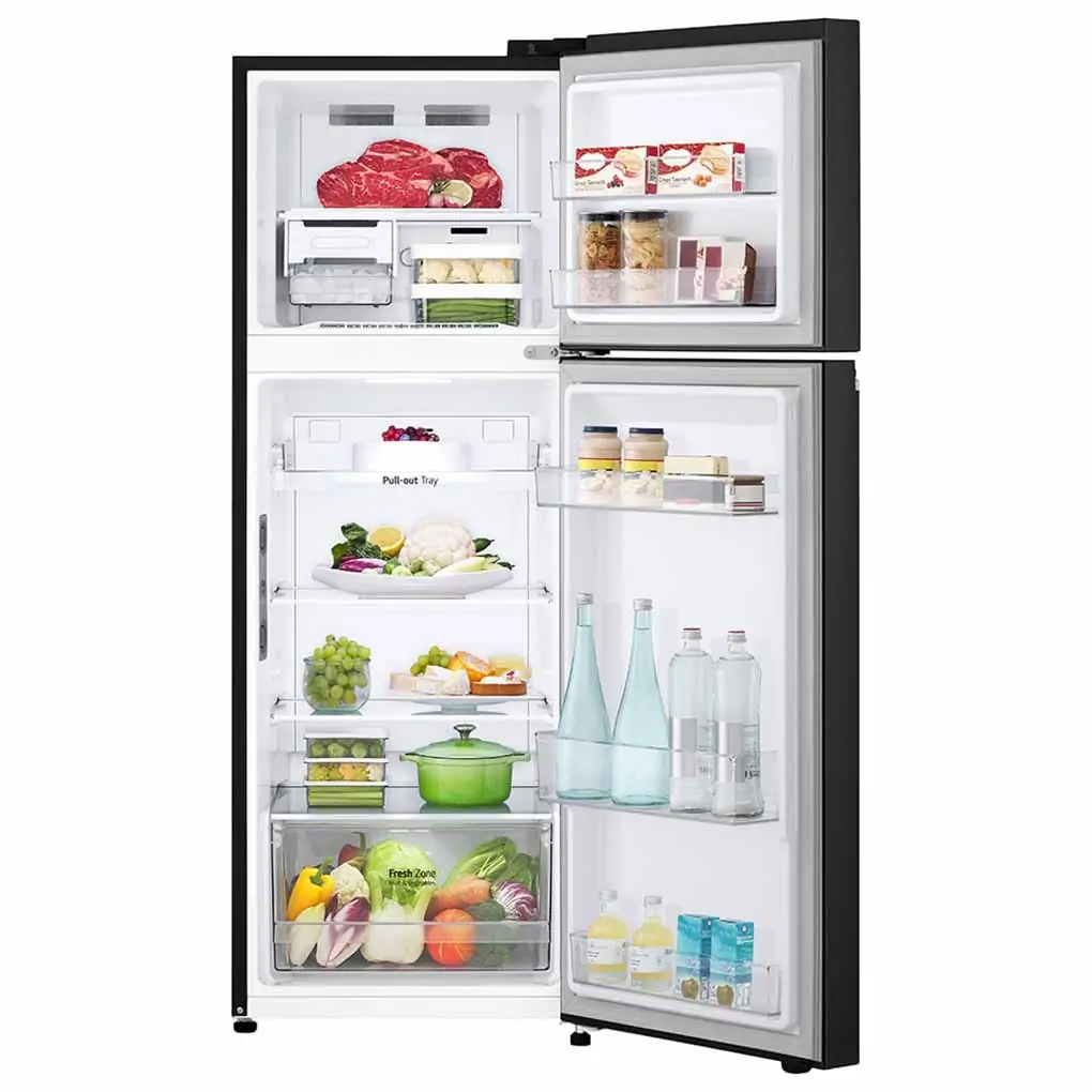 Tủ Lạnh LG Inverter 243 Lít GV-B242BL 0