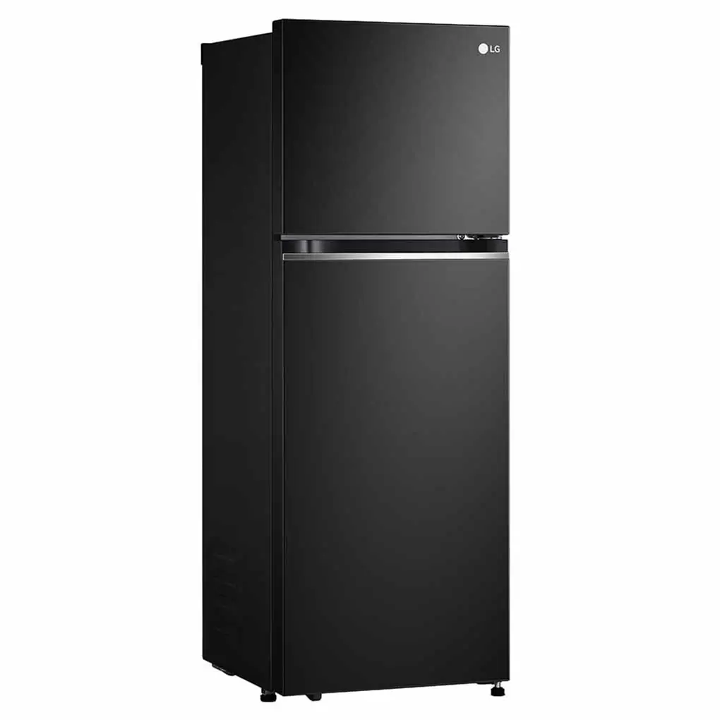 Tủ Lạnh LG Inverter 243 Lít GV-B242BL 6