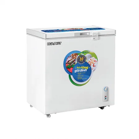 Tủ Đông Hòa Phát HPF AD6162 162 Lít Dàn Đồng 1