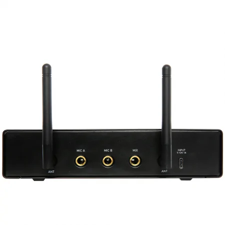 Micro Không Dây WMS210 Hiệu Boston Acoustics 2