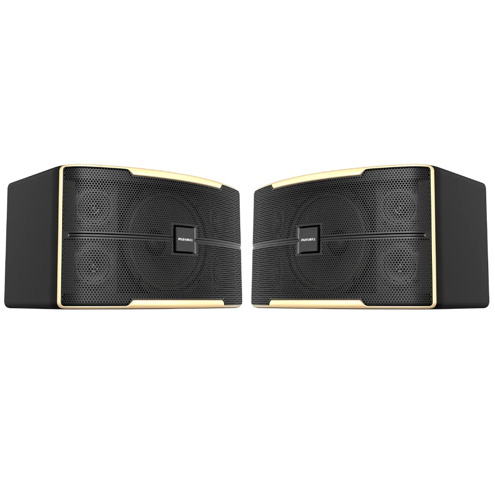 Loa Karaoke 10 Inches Z-1500