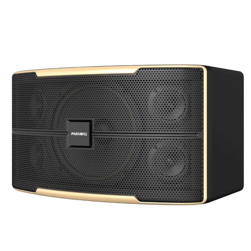 Loa Karaoke 10 Inches Paramax Z-1500 0