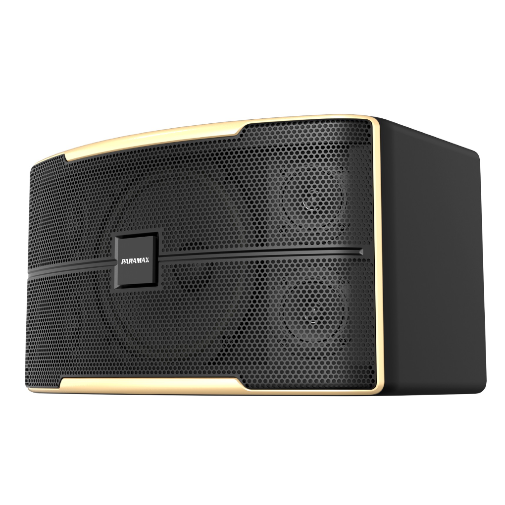 Loa Karaoke 10 Inches Paramax Z-1500 1