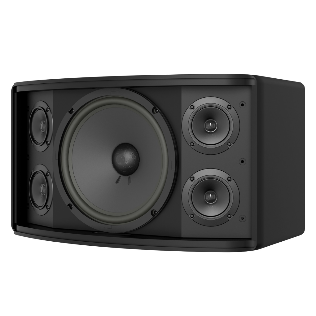 Loa Karaoke 10 Inches Paramax Z-1500 2